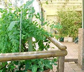 Denham Villas - Tourism Cairns 1