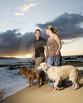 Four Seasons Holiday Park - Tourism Cairns 3