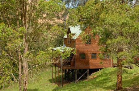 Cobark NSW Tourism Cairns