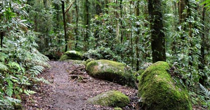 Hillside Bed & Breakfast - Tourism Cairns 2
