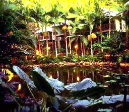 Daintree Eco Lodge And Spa - Tourism Cairns 3
