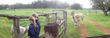 Boronia Farm Farmstay - Tourism Cairns 0