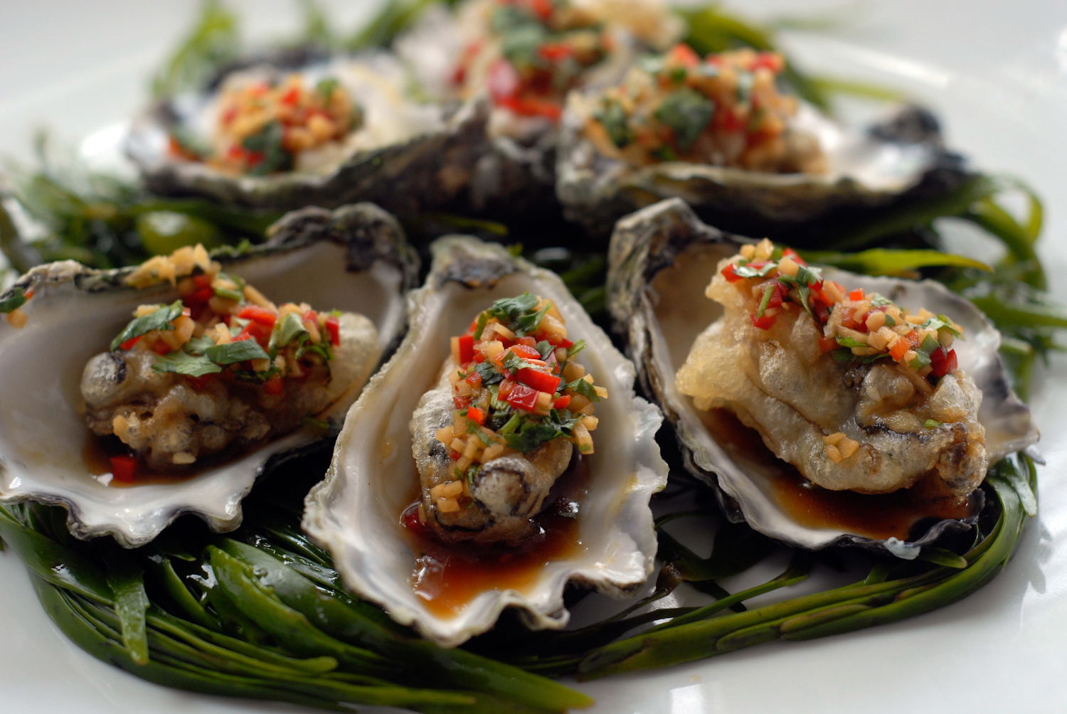 Mollymook NSW Tourism Cairns