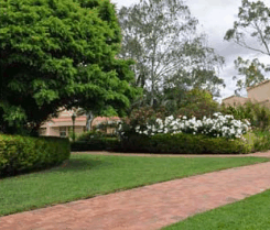 Barossa Weintal Hotel Motel - Tourism Cairns 2