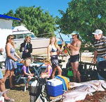 Shark Bay Cottages - Tourism Cairns