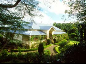 Montville QLD Tourism Cairns