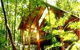 The Canopy Treehouses - thumb 0