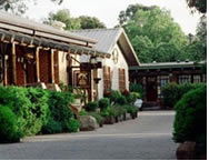 Skye VIC Tourism Cairns
