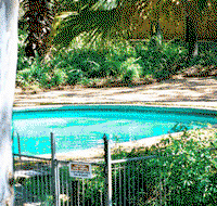 Forest Lodge Apartments - Tourism Cairns