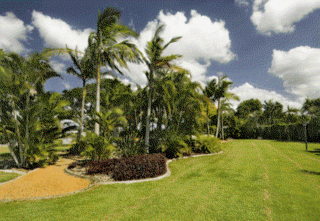 Mcnevins Loganholme - Tourism Cairns 3