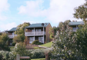 Daysy Hill Country Cottages - thumb 2