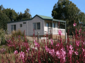 Daysy Hill Country Cottages - thumb 5