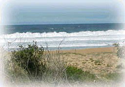 Hardys Bay NSW Tourism Cairns