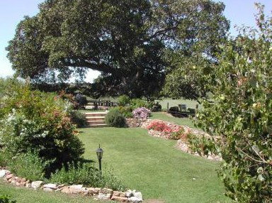 Maddies Of Bolwarra - Tourism Cairns 1