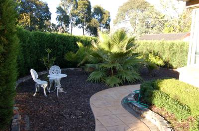 Bluebell Bed And Breakfast - Tourism Cairns 5