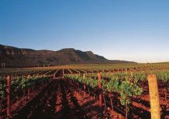 Peppers Guest House Hunter Valley - Tourism Cairns 2