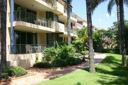 Montana Palms - Tourism Cairns 1