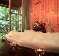 Tree Houses Of Montville - Tourism Cairns