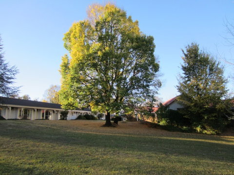 Moore Park Inn - Tourism Cairns 0