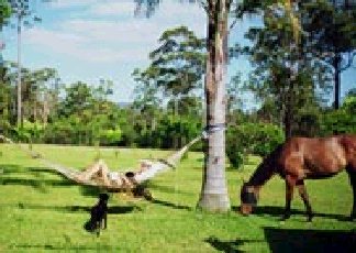 Clybucca NSW Tourism Cairns