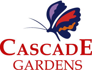 Q Resorts Cascade Gardens  - Tourism Cairns 1