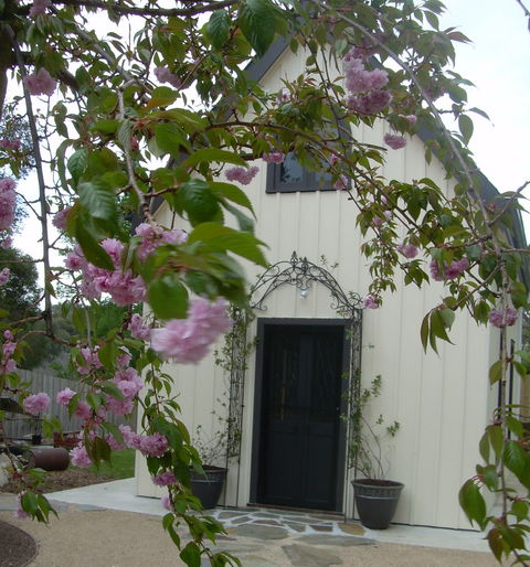 Silverleaf Cottage - Tourism Cairns 0