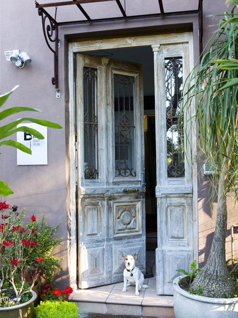 Bondi Beach House Accommodation - Tourism Cairns 0