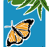 Wanderers Retreat - Tourism Cairns