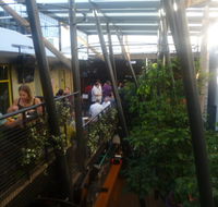 Terminus Hotel - Tourism Cairns