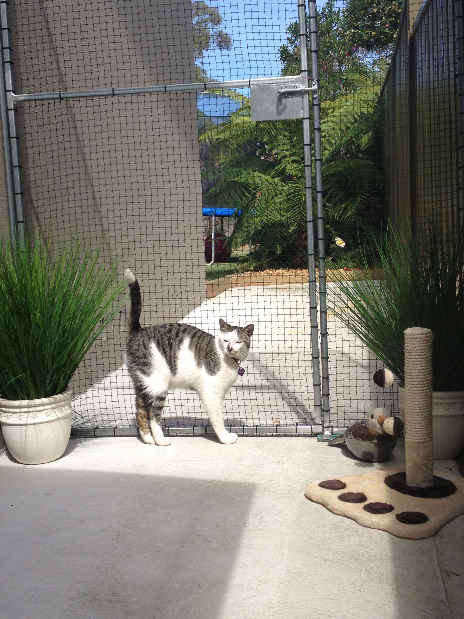 Caringbah South NSW Tourism Cairns