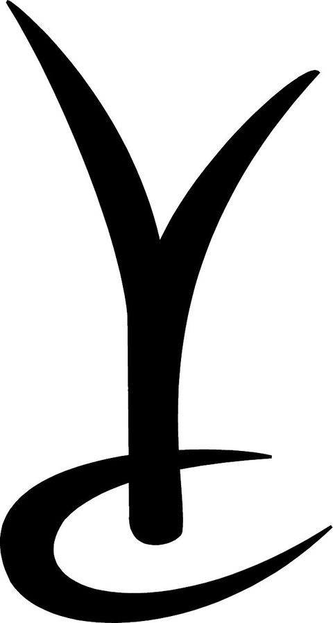 The Yacht Club Hotel - Tourism Cairns 1