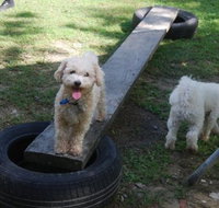 Beenleigh Pet Motel - Tourism Cairns