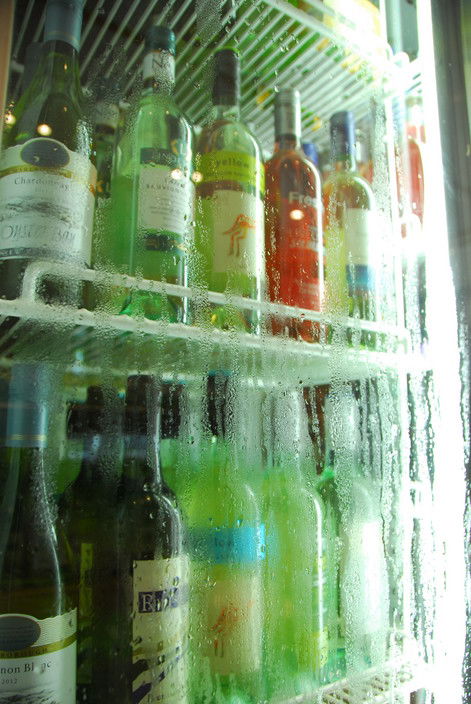 Warrego - Tourism Cairns 4