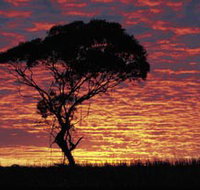 Kimba Caravan Park amp Motel - Tourism Cairns