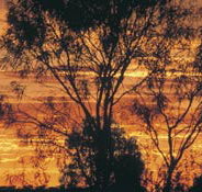 Tilmouth Well - Tourism Cairns
