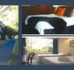 The Albany - Tourism Cairns