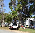 Elliston Caravan Park - Tourism Cairns