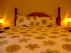 Travelway Motel - Tourism Cairns