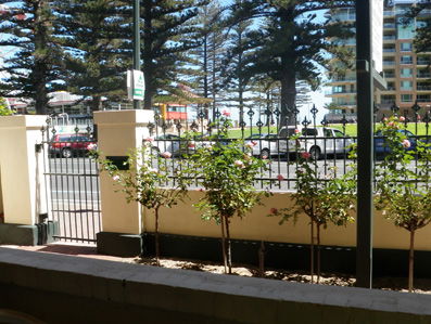 Grandview House Apartments - Tourism Cairns 5