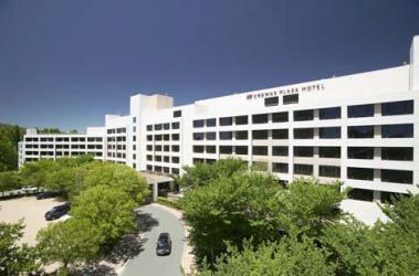 Hotels Windsor QLD Tourism Cairns