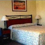 Ashfield Motor Inn - Tourism Cairns 2