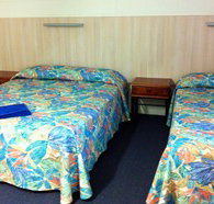 Mango Tree Motel - Tourism Cairns