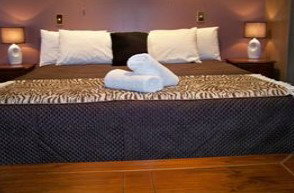 Bohemia Resort Cairns - Tourism Cairns 1