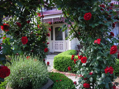 Bed And Breakfast At Stephanie's - Tourism Cairns 0