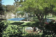 Tarcutta Halfway Motor Inn - Tourism Cairns 8