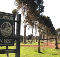 Harmony Forest - Tourism Cairns