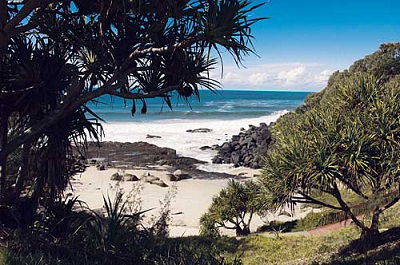 Grande Florida Beachside Resort - Tourism Cairns 19
