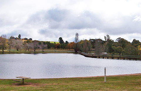 Mid City Motor Lodge - Tourism Cairns 5