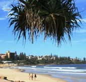 Mariners Caloundra - Tourism Cairns