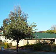 Riverland Motor Inn - Tourism Cairns